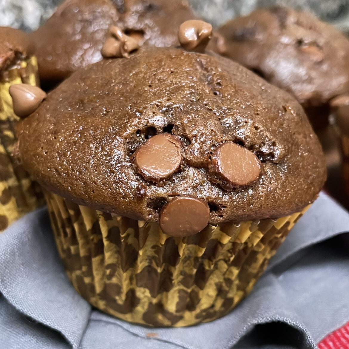 Muffins de Chocolate da Ari